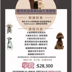 寵物美容專業B級文憑課程